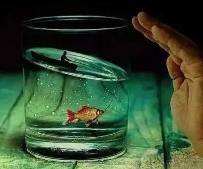 Hãy chọn thứ bạn nhìn thấy trong bức hình nhé!