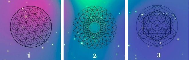 Hãy chọn 1 hình nhé!