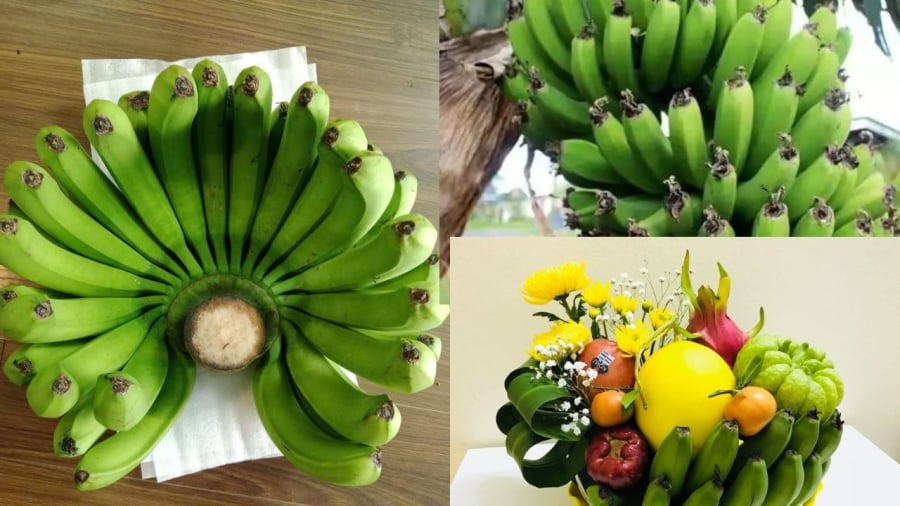 Nải chuối được nhiều gia đình chú trọng khi chọn thắp hương