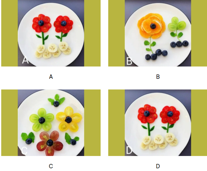 Hãy chọn 1 chiếc đĩa bạn thích nhất nhé!