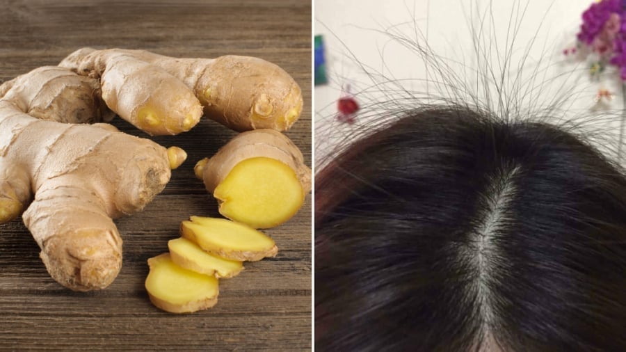 Cách gội đầu bằng gừng tươi chữa rụng tóc đơn giản, tóc con mọc lên tua tủa