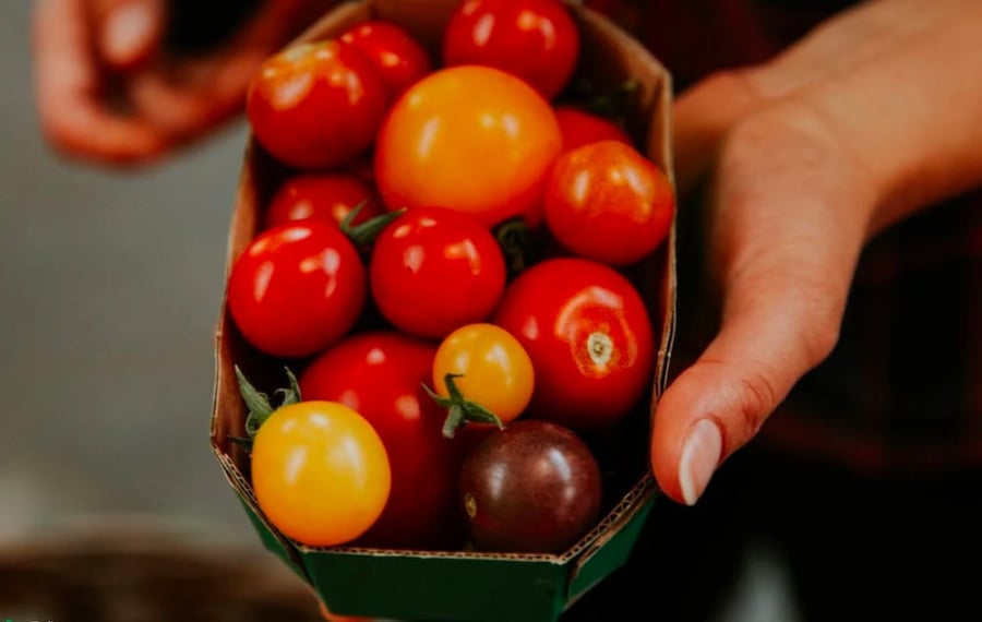 2 nhóm người phải kiêng ăn cà chua