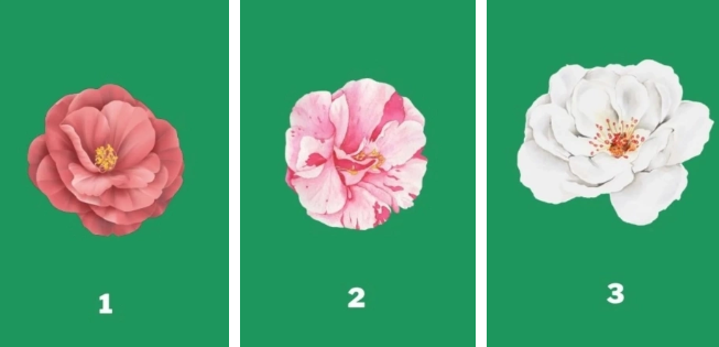 Hãy chọn 1 bông hoa nhé!