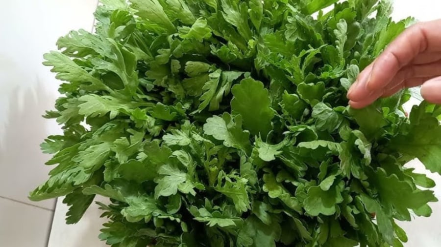 Những ai không nên ăn rau cải cúc