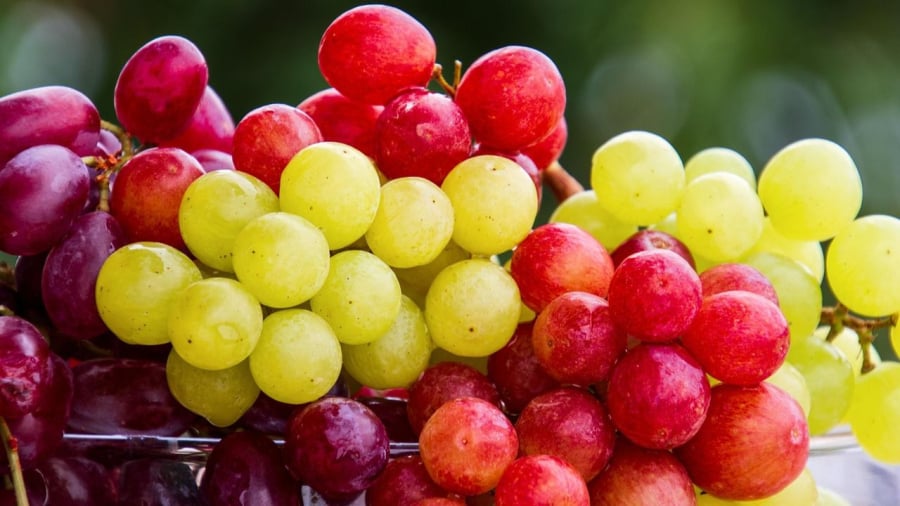 Các loại trái cây chứa nhiều đường thường dễ lên men và sinh ra cồn.