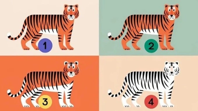 Chọn 1 con hổ nhé!