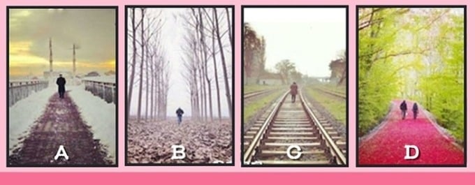 Hãy chọn 1 con đường bạn muốn đi qua nhé!