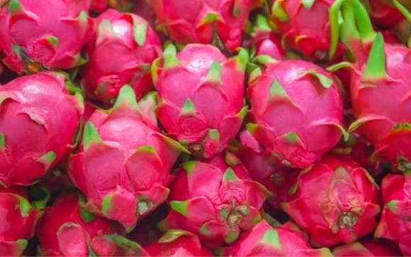 Thanh long có hình dáng đẹp mắt với lớp vỏ xanh hồng và các “tai” vươn lên như ngọn lửa.