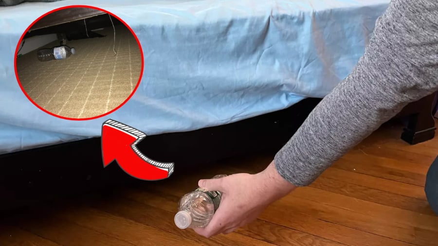 Lăn chai nước vào gầm giường khách sạn: Việc nhỏ nhưng lợi lớn, bạn đã thử chưa?