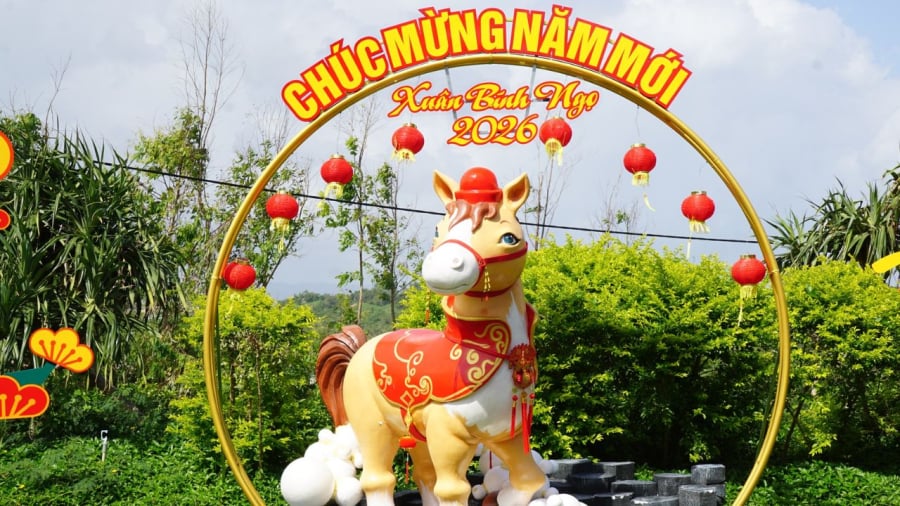 Trong những ngày nghỉ Tết Nguyên đán Bính Ngọ năm 2026, tình hình thời tiết trên cả nước khá thuận lợi.