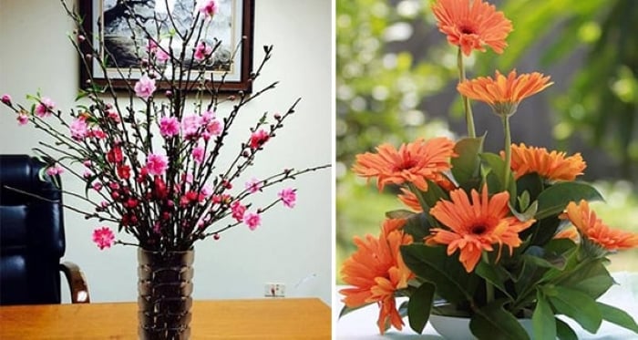 Hoa đào và hoa đồng tiền