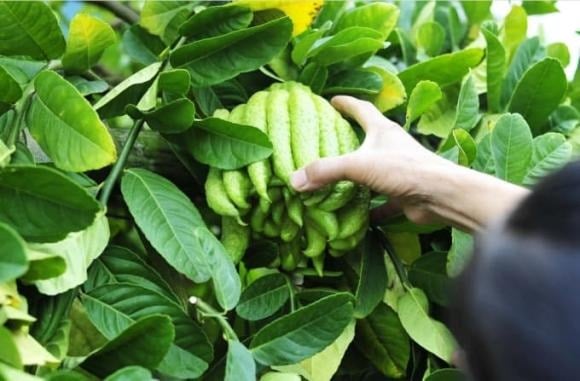 Nhiều người còn đếm số “ngón tay” theo quan niệm phong thủy. 