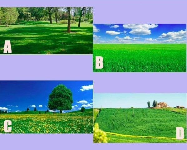 Hãy chọn 1 khung cảnh bạn thích nhé!