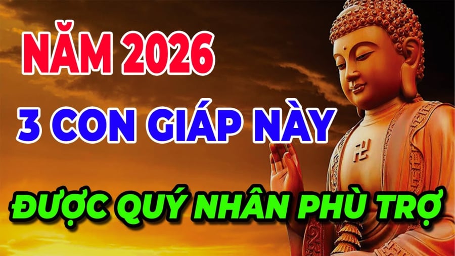 Chỉ cần giữ tâm sáng, hành xử đúng mực, tuổi Tý sẽ thấy “nạn qua – phúc đến”, tiền tài dần đầy túi.