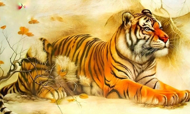 Trái ngược với ba con giáp trên, đầu năm 2026 tuổi Dần cần đặc biệt thận trọng về tiền bạc.