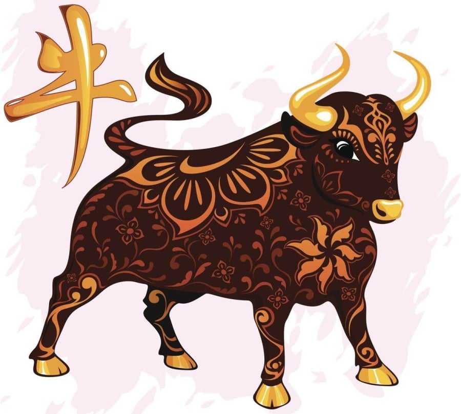 Khác với ba con giáp trên, tuổi Sửu lại có số “an cư mới lạc nghiệp”. Người tuổi Sửu chăm chỉ, bền bỉ và coi trọng sự ổn định.