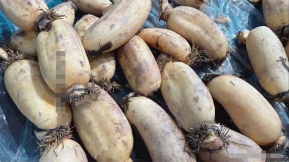 Sau Tết, nhiều gia đình chọn củ sen để nấu canh, hầm xương hay xào nhằm cân bằng lại khẩu vị sau những bữa ăn nhiều dầu mỡ.