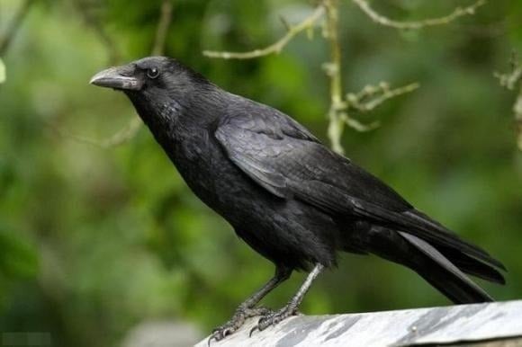 Chỉ bằng việc dừng tương tác thay vì la mắng, cha mẹ đã truyền đi một thông điệp mạnh mẽ: sự thiếu tôn trọng sẽ không được dung thứ.