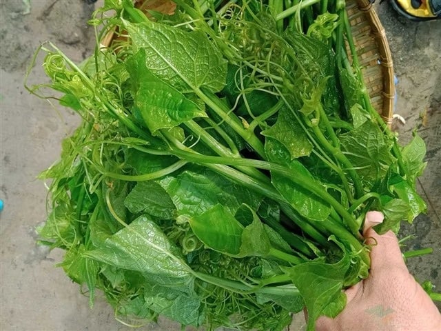 Bí quyết để món ăn xanh mướt là tước kỹ xơ, ngâm nước muối, sau đó xào nhanh trên lửa lớn cùng tỏi phi thơm và nêm nếm gia vị vừa ăn. 