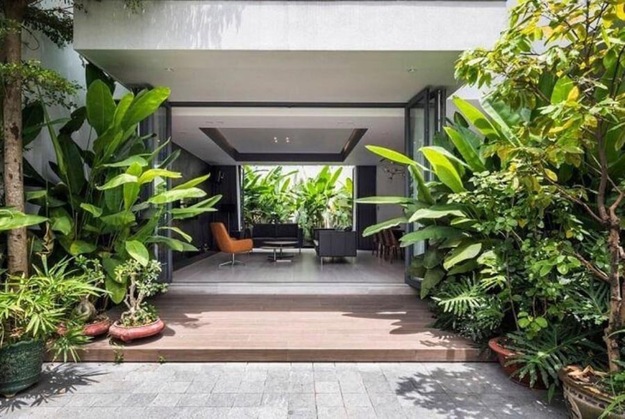 Cây xanh không chỉ có thể tăng thêm sức sống mà còn vô thức khơi dậy khát vọng và theo đuổi cuộc sống tốt đẹp hơn của bạn. (Ảnh minh họa)