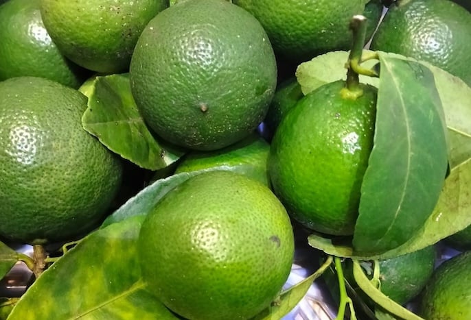 Nước chanh có tính axit khá cao, vì vậy sẽ có tác động không tốt tới những người có dạ dày đang tổn thương