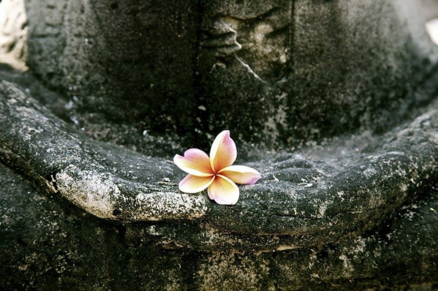 Thời thời khắc khắc nhắc nhở bản thân mình làm người lương thiện. Bạn nhất định sẽ có một tương lai tươi sáng!. (Ảnh minh họa)