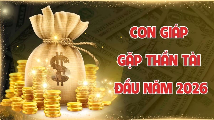 Khác với hai con giáp trên, tuổi Dậu có thể bước vào giai đoạn cần siết chặt tài chính. Đây không phải thời điểm bùng nổ, mà là lúc củng cố nền móng.