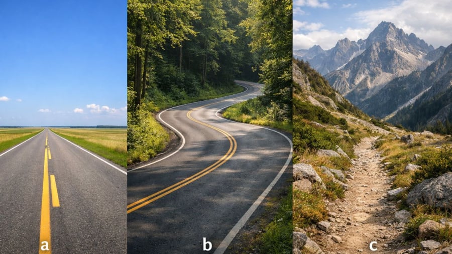 Bạn chọn con đường nào?