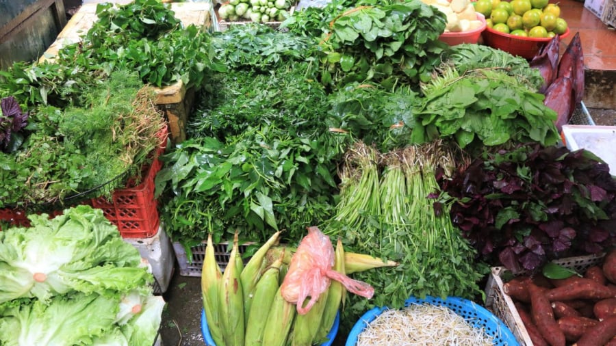 Sau những ngày Tết ăn nhiều thịt, giò chả, bánh chưng, bạn có thể ưu tiên bổ sung các loại rau xanh vào bữa ăn để giải ngấy, cải thiện tiêu hóa.