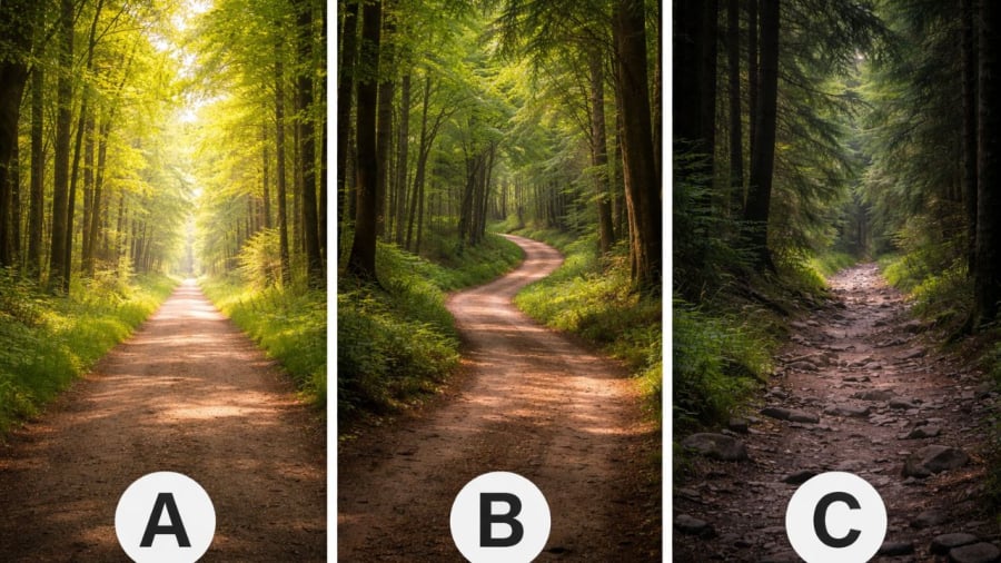 Bạn chọn con đường nào?