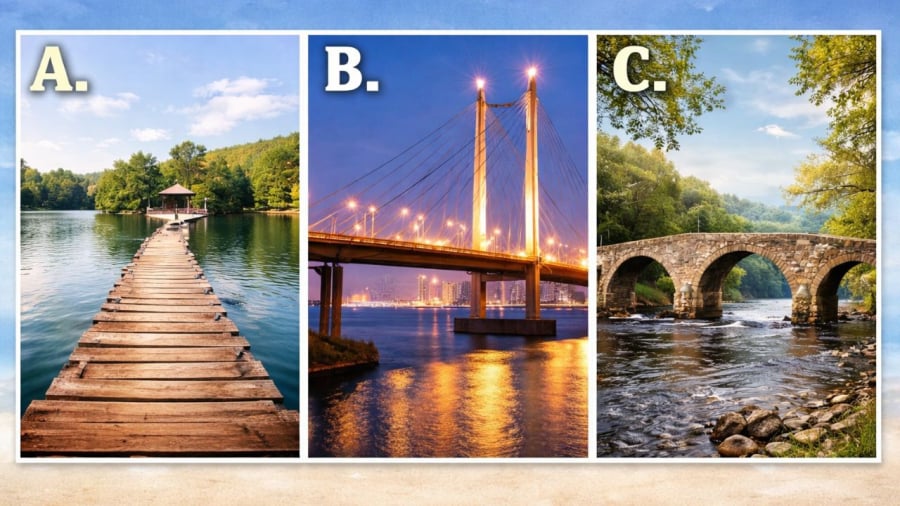 Bạn chọn bước lên cây cầu nào?