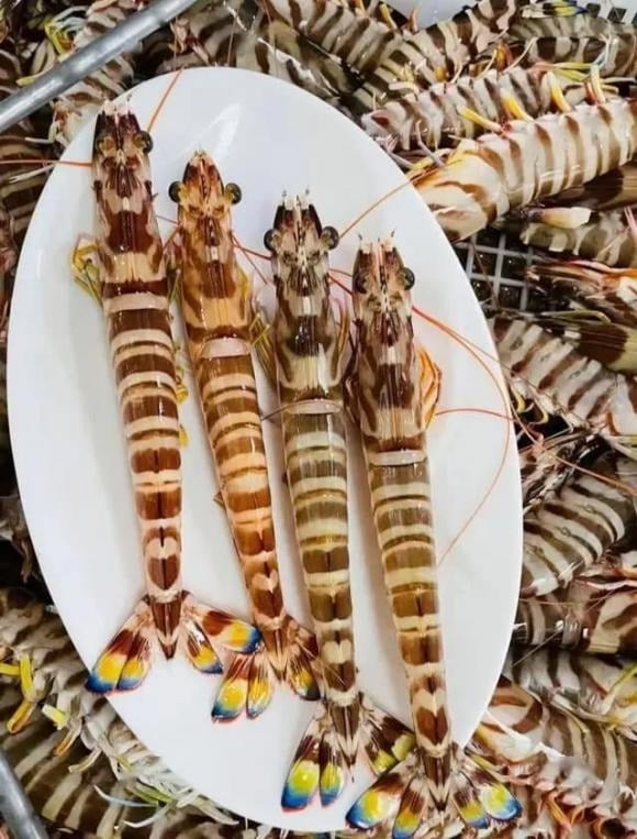 Tôm sông sinh sống trong môi trường nước ngọt như sông, suối hoặc ao hồ, nơi nguồn nước và thức ăn có thể chịu tác động từ ô nhiễm. 