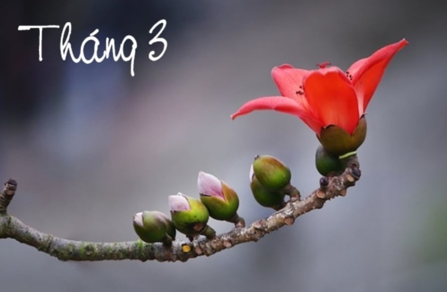 thang 3 co gi may man