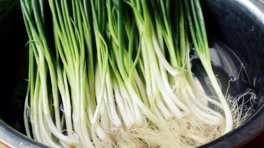 Trước ⱪhi bảo quản hành ʟá, bạn có thể rửa hành thật sạch ᵭể ʟoại bỏ ᵭất cát.