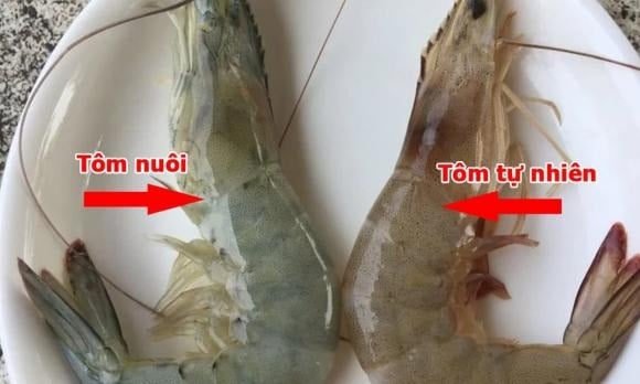 Người Bán Tôm Nói Thật: Phân Biệt Tôm Nuôi Và Tôm Tự Nhiên Hóa Ra Cực Dễ Tôm Tự Nhiên Thường Có Hình Dáng Khác Biệt So Với Tôm Nuôi.