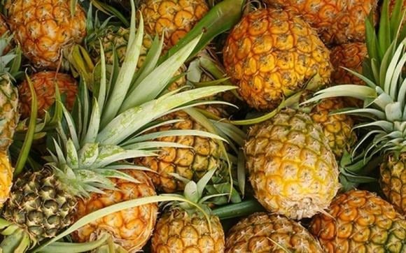 Chuối cũng gây chú ý khi lần đầu tiên góp mặt trong bảng xếp hạng và được đánh giá là một trong những loại trái cây có mức độc tính thuốc trừ sâu thấp.