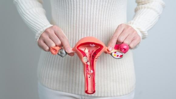 Nhiều người cho rằng mãn kinh là sự “giải thoát”, nhưng về mặt sinh lý, đây là dấu mốc cho thấy chức năng buồng trứng suy giảm và lượng estrogen trong cơ thể giảm mạnh. 