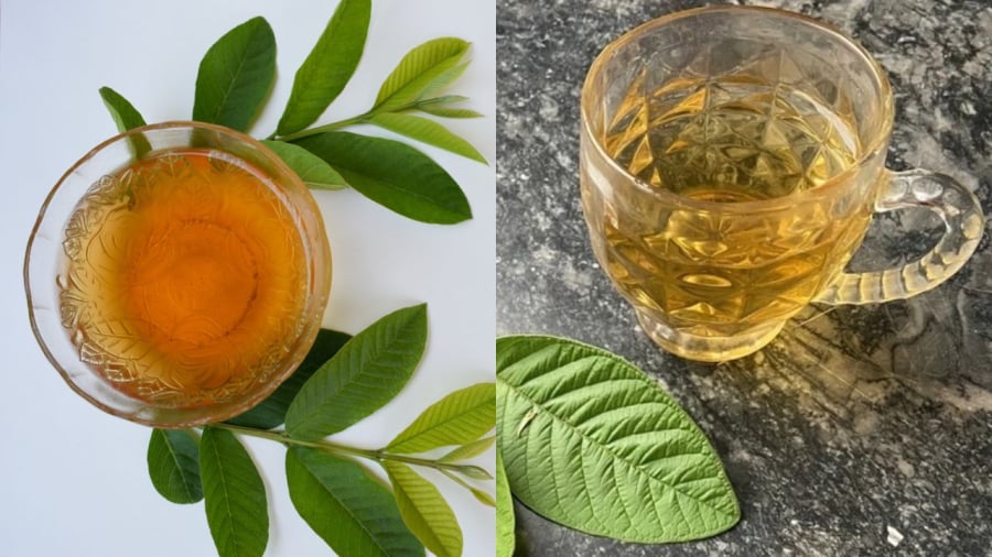 Uống nước lá ổi một cách hơp lý có thể hỗ trợ quá trình giảm cân, mang lại nhiều lợi ích cho sức khỏe.