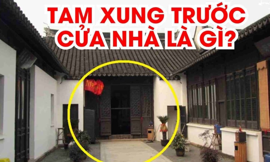 Tam Xung trước cửa người lẫn của đều lao đao, tam xung gồm những gì?
