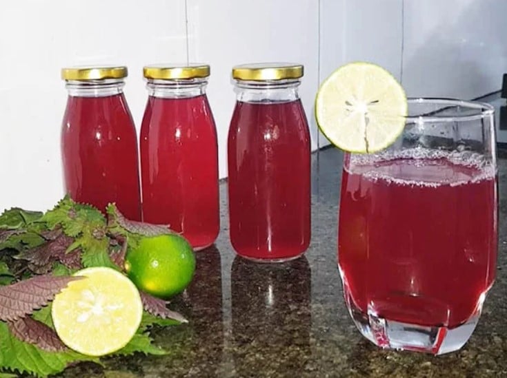 5 người tuyệt đối không nên uống nước lá tía tô