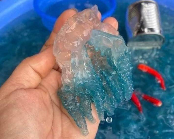 Nuốc Huế thường được ăn kèm vả, rau thơm và mắm ruốc, tạo nên hương vị thanh mát đặc trưng.