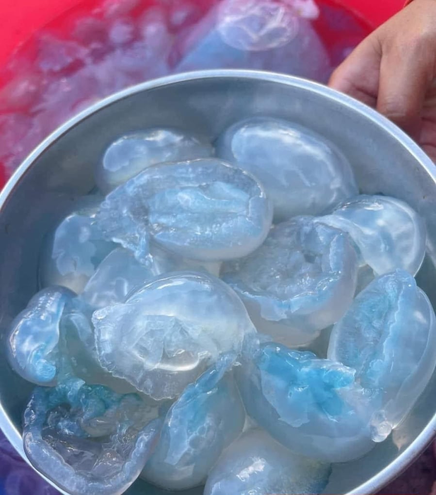 Nuốc – đặc sản theo mùa của Huế – gây chú ý với màu xanh trong tự nhiên hiếm gặp.