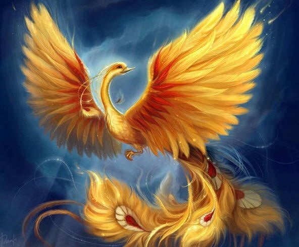 Tin vui là 100 ngày tới vận khí của tuổi Dần có dấu hiệu chuyển biến tích cực.    