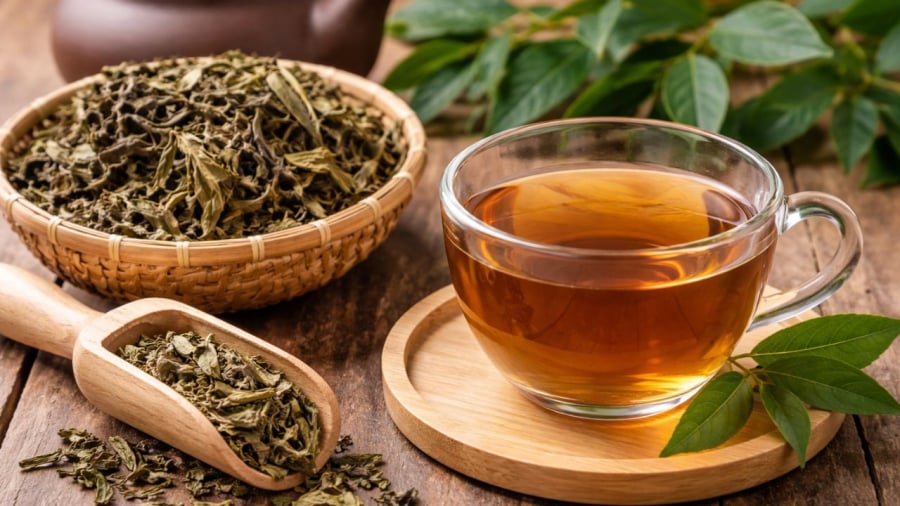 Uống nước xạ đen cũng cần lưu ý