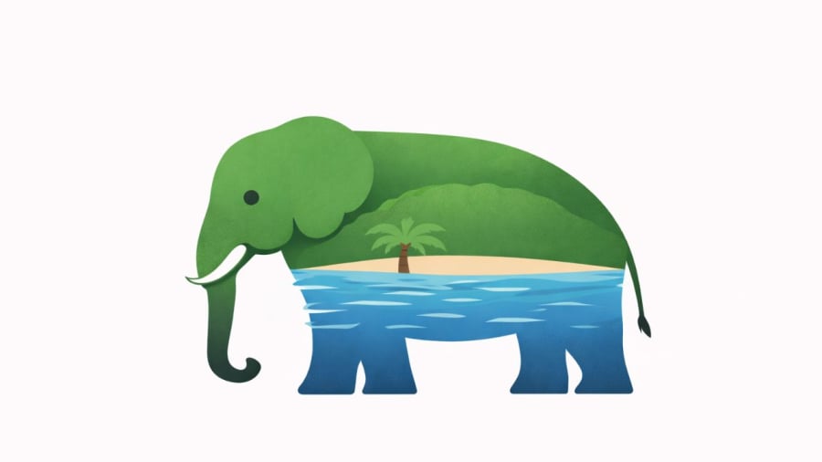 Bạn đang nhìn thấy hình gì?