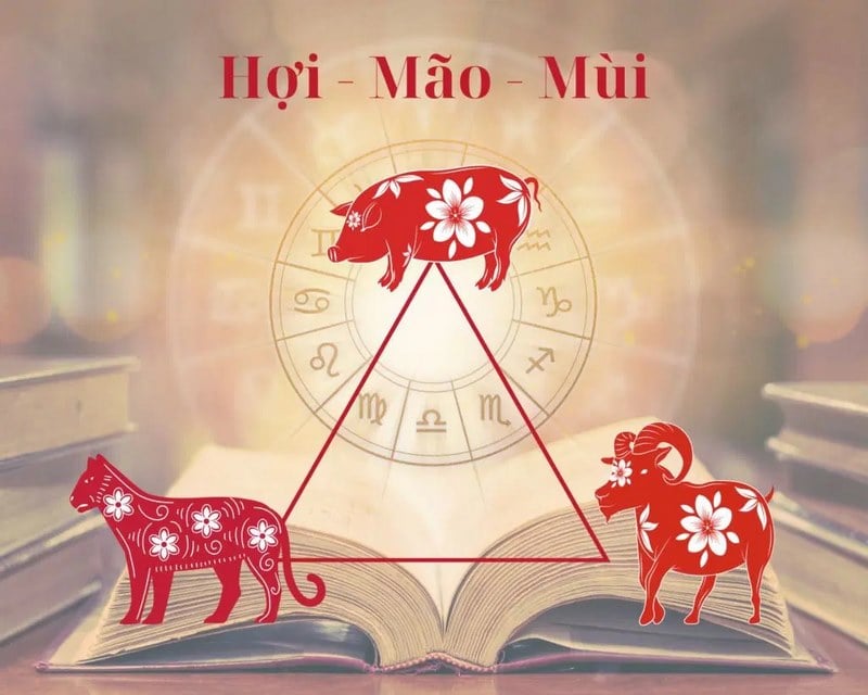 Tuổi Tý và tuổi Thân được xem là cặp con giáp khá hòa hợp trong nhiều lĩnh vực. Cả hai đều có điểm chung là thông minh, nhanh nhạy và có khả năng nắm bắt cơ hội tốt.