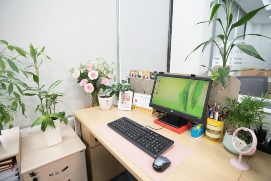 Mang cây xanh vào góc làm việc. (Ảnh minh họa)