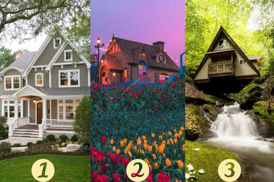 Bạn lựa chọn bức ảnh nào?