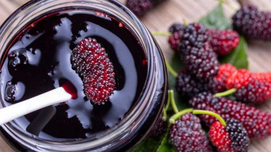 Dâu tằm là loại trái cây tự nhiên mang lại nhiều lợi ích cho sức khỏe.