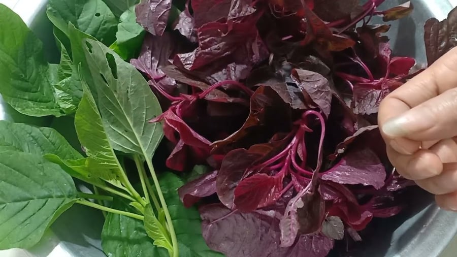 Những người không nên ăn rau dền